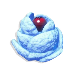 Coldcup Nest Plant