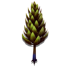 Evergreen Tree