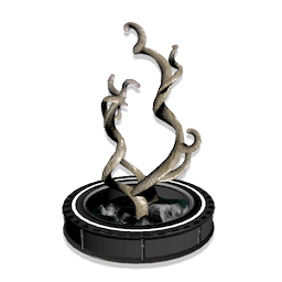 Curly Coral