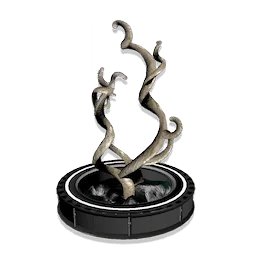 Curly Coral