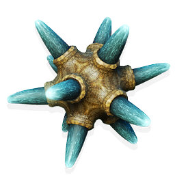 Armoured Anemone