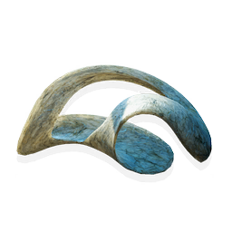 Strip Coral