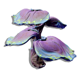 Succulent Algae Tower