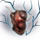 Fragile Heart