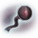 Fragile Shell