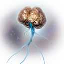 Neural Shielding