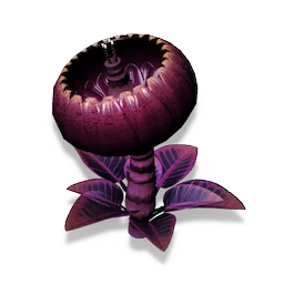 Mordite Root