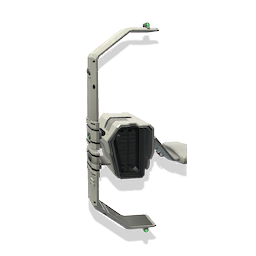 Ion Flare D-wing