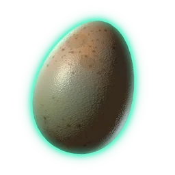 Companion Egg