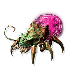 Grub Cocoon