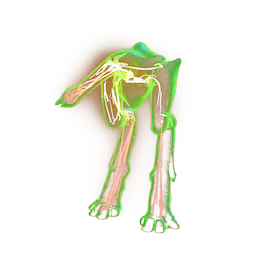 Glowing Egg