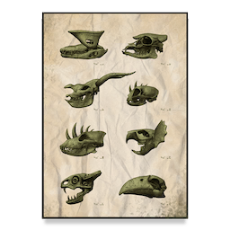 Taxonomy Poster
