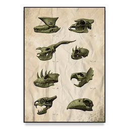 Taxonomy Poster