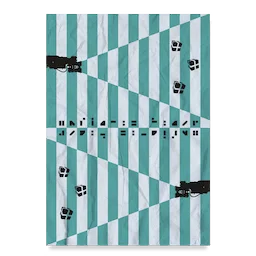 Magnetism Poster