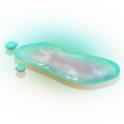 Lubricant