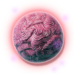 Raw Steak