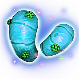 Marrow Flesh