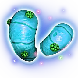 Marrow Flesh