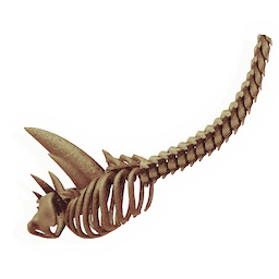 Gargantuan Ribcage
