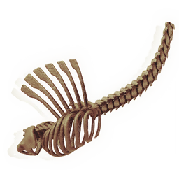 Lengthy Flared Ribcage