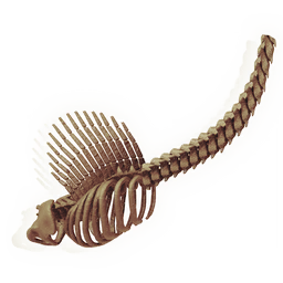 Lengthy Finned Ribcage