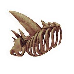 Spiked Ribcage