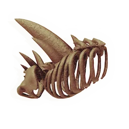 Spiked Ribcage