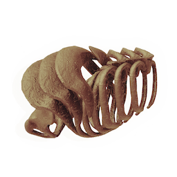 Armoured Ribcage
