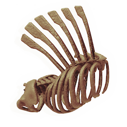 Flared Ribcage