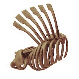 Flared Ribcage