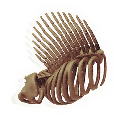 Finned Ribcage