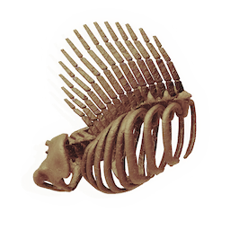 Finned Ribcage