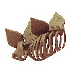 Placed Fossil
