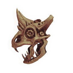 Mono-horn Predator Skull