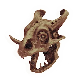 Vicious Predator Skull