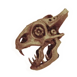 Predator Skull