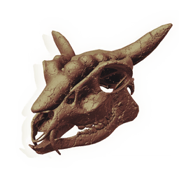 Skull of the Cursed Doe