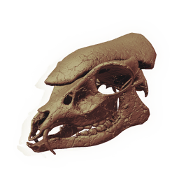Armoured Ovine Skull