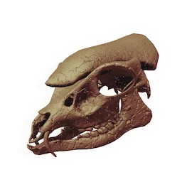 Armoured Ovine Skull