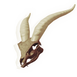 Skull of the Golden Hart