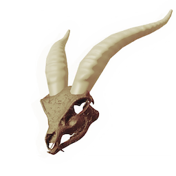 Skull of the Golden Hart