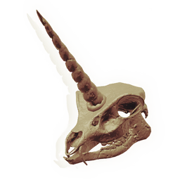 Skull of the Watcher