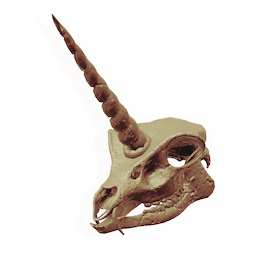 Skull of the Watcher