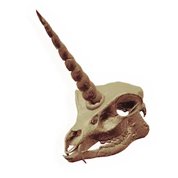 Skull of the Watcher