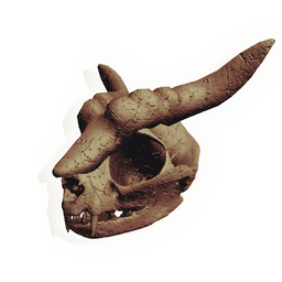 Gnarled Rodent Skull