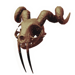 Magnificent Rodent Skull