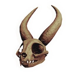 Statuesque Rodent Skull