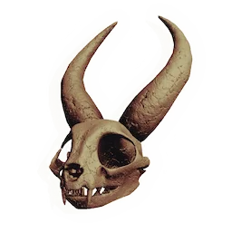 Statuesque Rodent Skull