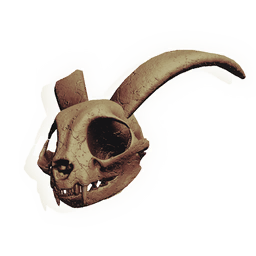 Midnight Nibbler Skull