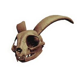 Midnight Nibbler Skull